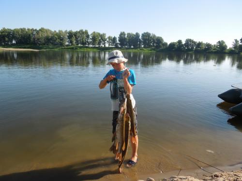 post-24445-0-01856500-1438541749_thumb.j