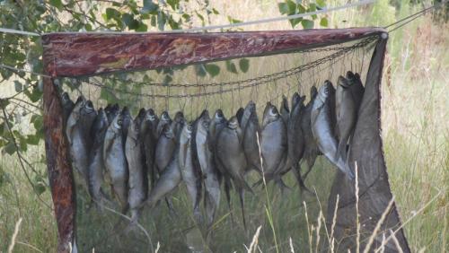 post-24445-0-23162500-1438541825_thumb.j