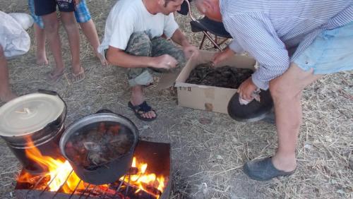 post-24445-0-53091100-1438541809_thumb.j