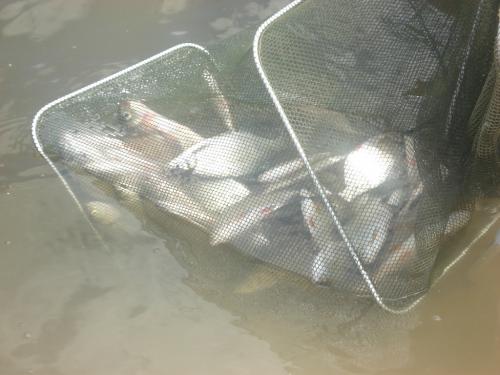 post-24445-0-72514700-1438541759_thumb.j