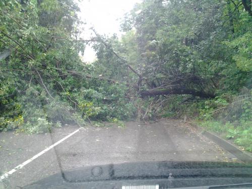 post-22998-0-09244400-1378458349_thumb.j