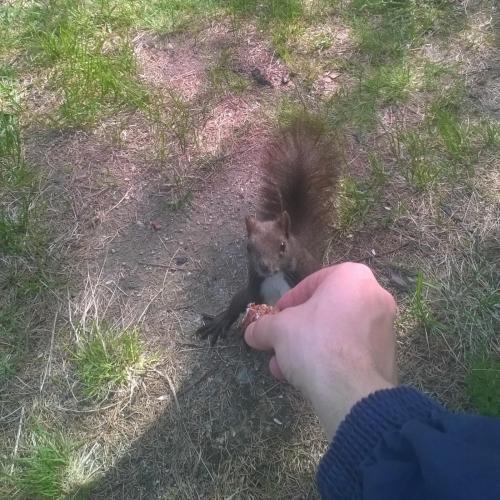 post-2816-0-32717200-1410201541_thumb.jp