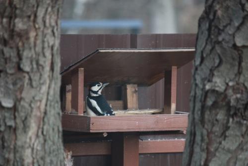 post-10019-0-43411700-1414568955_thumb.j