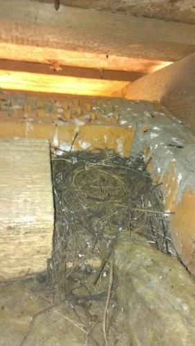 post-10019-0-71969100-1413999757_thumb.j