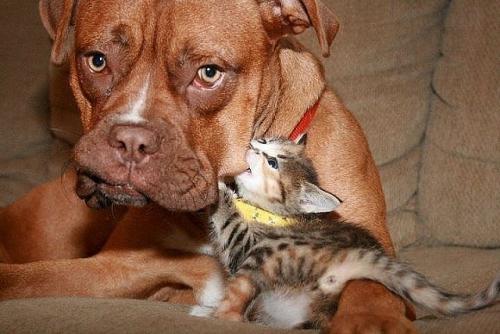 post-35857-0-35208800-1412874605_thumb.j