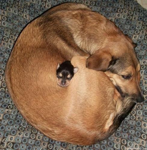 post-35857-0-44063800-1412874539_thumb.j