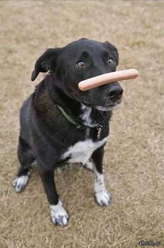 post-35857-0-90261300-1412874808_thumb.j