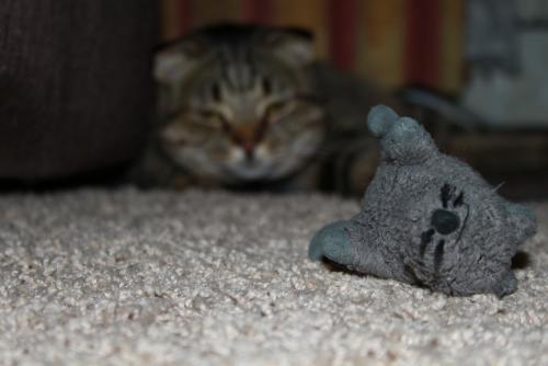 post-26766-0-51234200-1352124769_thumb.j