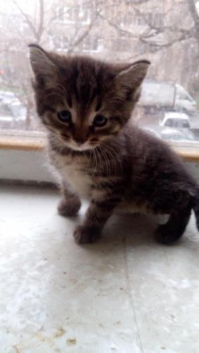 post-3458-0-93053600-1415801742_thumb.jp