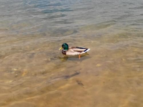 post-37086-0-26685000-1415824615_thumb.j