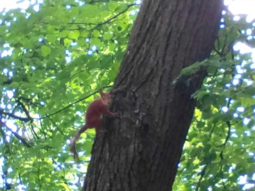 post-37086-0-96590700-1415824684_thumb.j