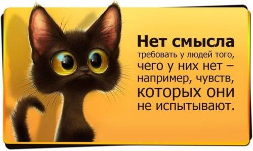 post-15141-0-62037300-1355070022_thumb.j