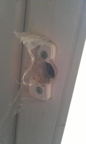 post-18595-0-63766900-1355859349_thumb.j