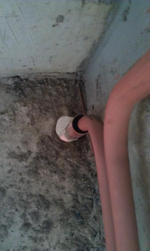 post-18595-0-87039800-1355859291_thumb.j