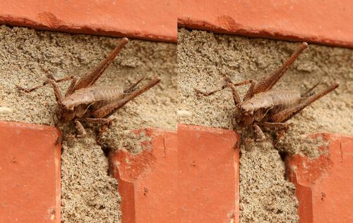 55e0d112b1e89_87_1080.thumb.jpg.0591eea3