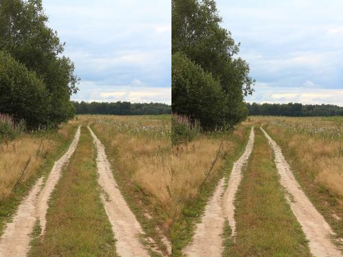 55e60f775e298_92_1080.thumb.jpg.4b51d117