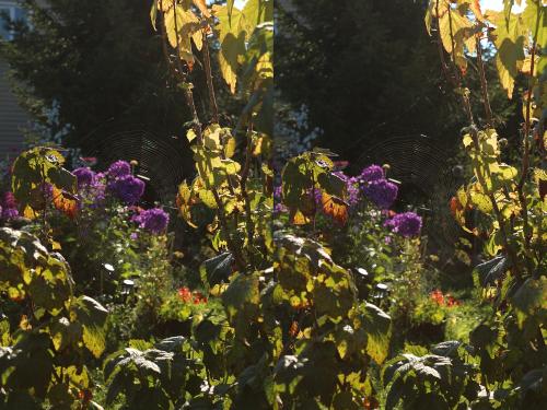 55e60f798068f_94_1080.thumb.jpg.3852bb51