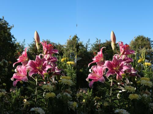 55e60f7a91f6b_97_1080.thumb.jpg.eefe17a7