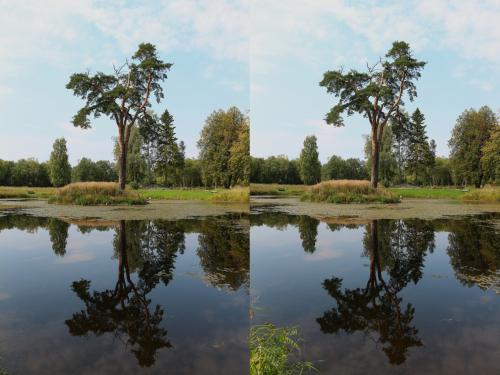 55ed426e9ba15_106_.thumb.jpg.d3531173f96