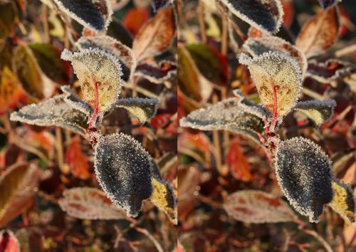 56352ef26b079_141_1080.thumb.jpg.b333395