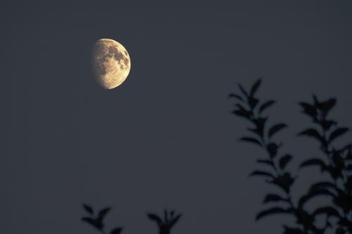 Луна смотрящяя свысока.JPG