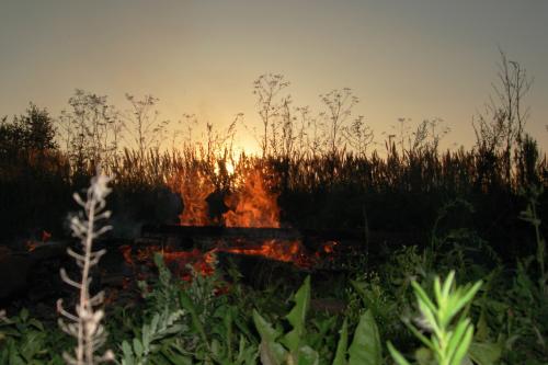 фото 022 (2).jpg