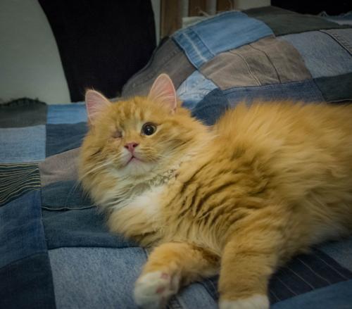 DSC_5482.jpg