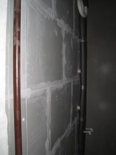 IMG_3731.JPG