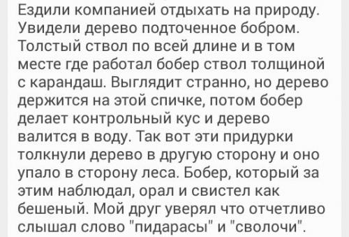 o9Y5tlpYvvE.jpg