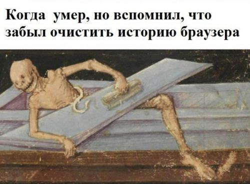 7261850.jpg