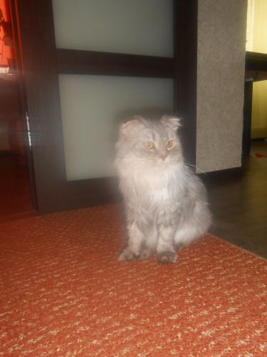 DSCN2176.JPG
