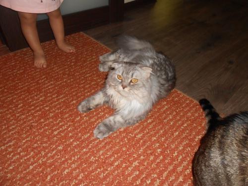 DSCN2179.JPG