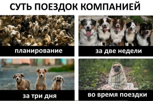 скачанные_файлы.jpg