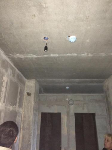 image.jpeg
