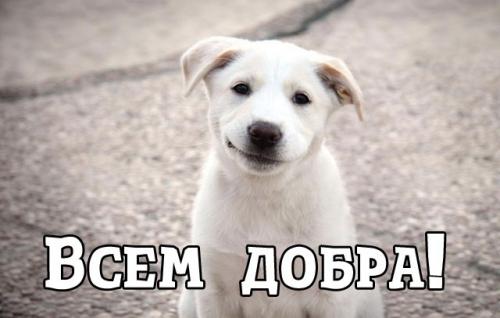 100598923_yN82ThjGo28.jpg
