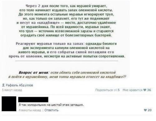 7zYVPti6I3U.jpg