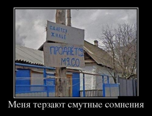 demotivi.jpg