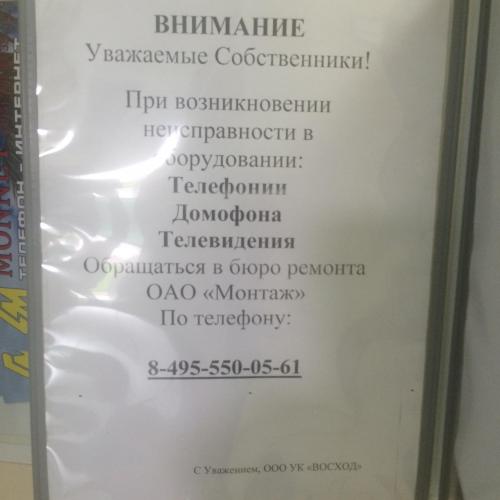 image.jpeg