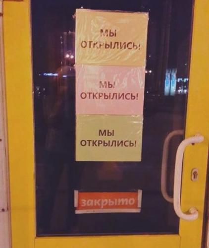 7904559.jpg