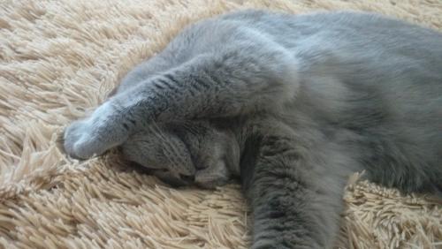 IMAG0756.jpg