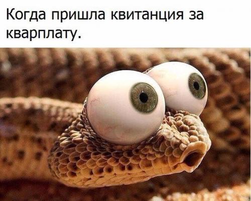 pqQjVs4bZ5I.jpg