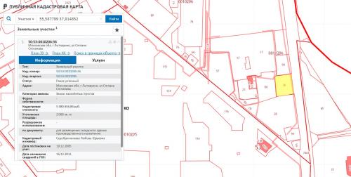 Кадастровая карта.JPG