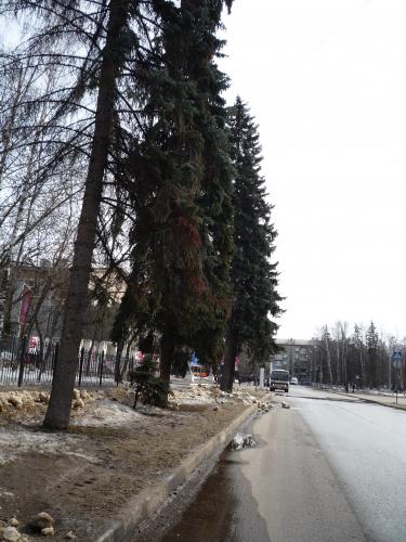 P1220996.JPG