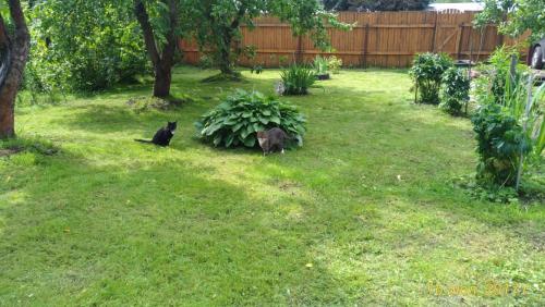 WhatsApp Image 2018-05-14 at 09.01.52.jpeg