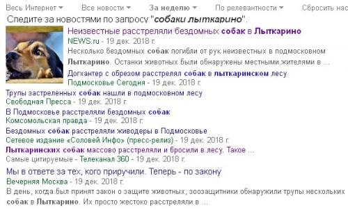 собаки лы.jpg