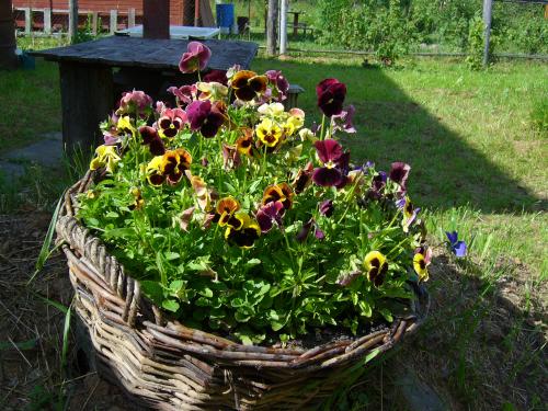 Изображение 001.jpg