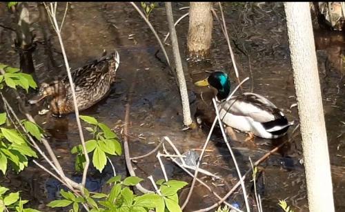 Screenshot_20240522-193943_Video Player.jpg