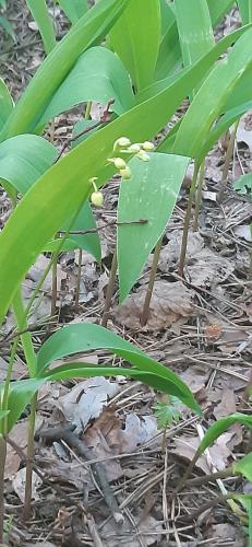 WhatsApp Image 2024-05-25 at 21.51.36.jpeg