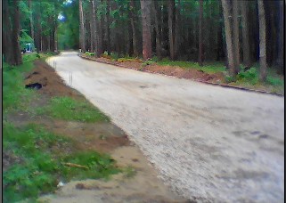 rollerlyub.jpg.2a6a672f2709c8869a6bbcc8704f761e.jpg