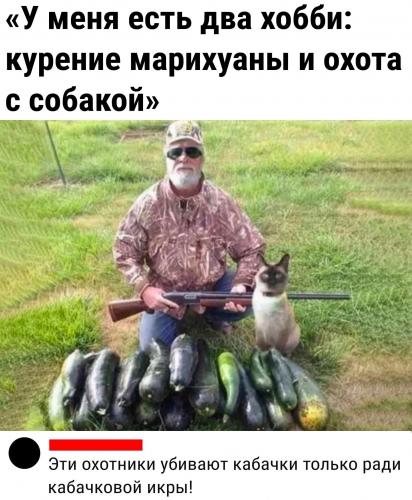kslzQ7Tf1KVqHiut-iHqCzPadRNluykAigj5jiqCD78tLka73t01C5KBsBuuQyijC0pGj6FHrw3d3hqOP4HTFr_3.jpg